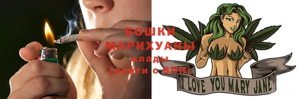 гашик Кулебаки