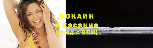 гашик Кулебаки