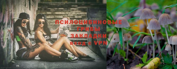 трава Кукмор