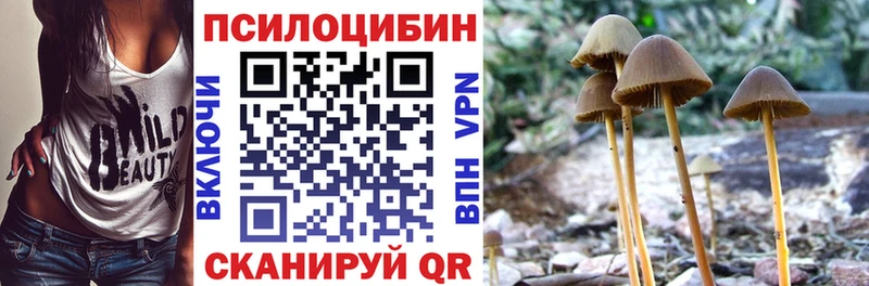 Галлюциногенные грибы прущие грибы  Купить где  Княгинино 